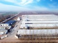 拼實力|8個棚4.7萬平大面積雞場最佳取暖指南